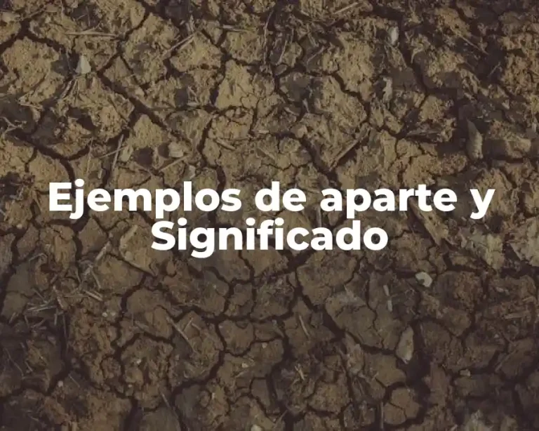 Ejemplos de aparte y Significado