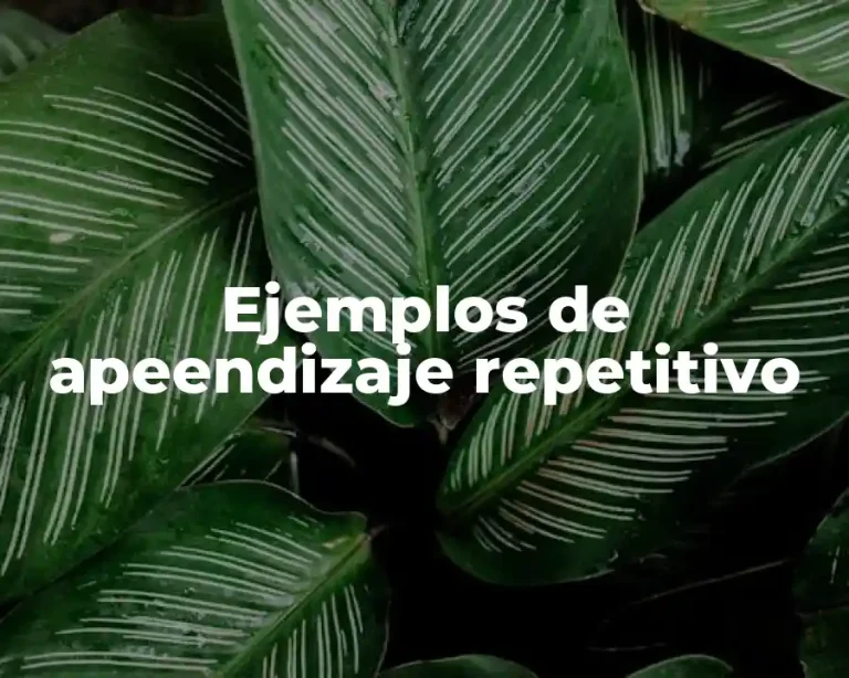 Ejemplos de apeendizaje repetitivo