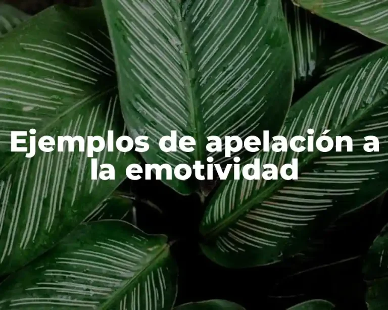 Ejemplos de apelación a la emotividad