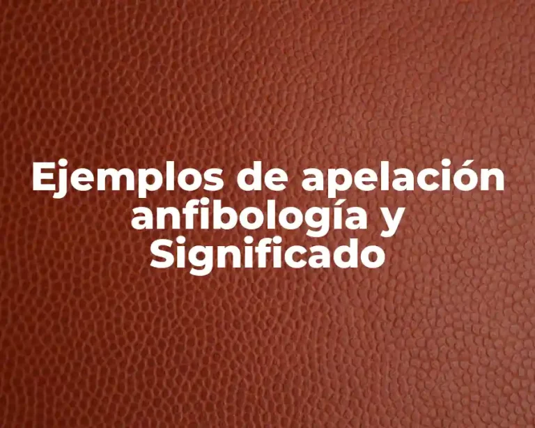 Ejemplos de apelación anfibología y Significado