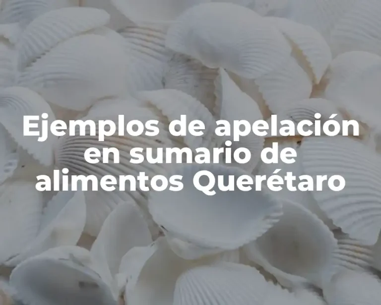Ejemplos de apelación en sumario de alimentos Querétaro