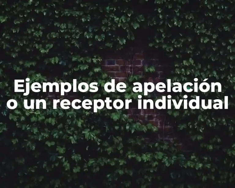 Ejemplos de apelación o un receptor individual