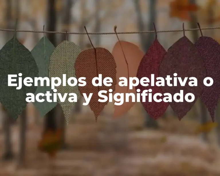 Ejemplos de apelativa o activa y Significado