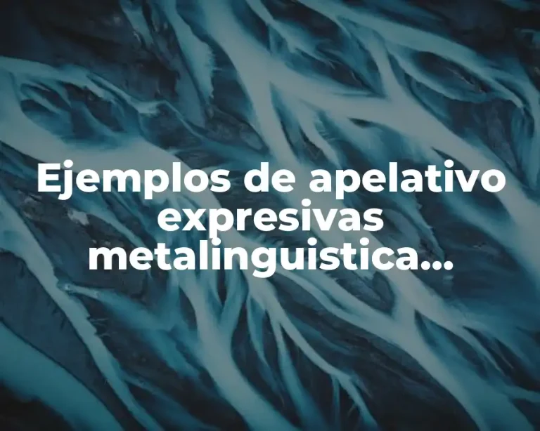 Ejemplos de apelativo expresivas metalinguistica referencial poetica