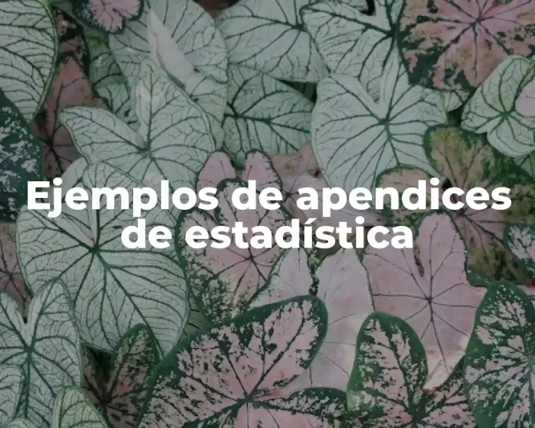 Ejemplos de apendices de estadística