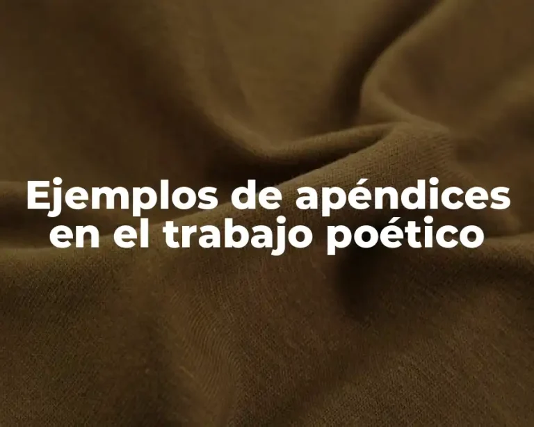 Ejemplos de apéndices en el trabajo poético