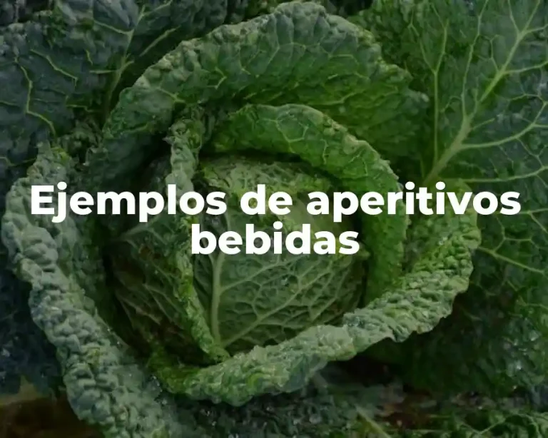 Ejemplos de aperitivos bebidas