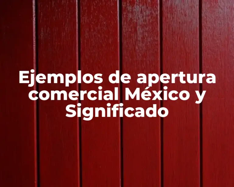 Ejemplos de apertura comercial México y Significado