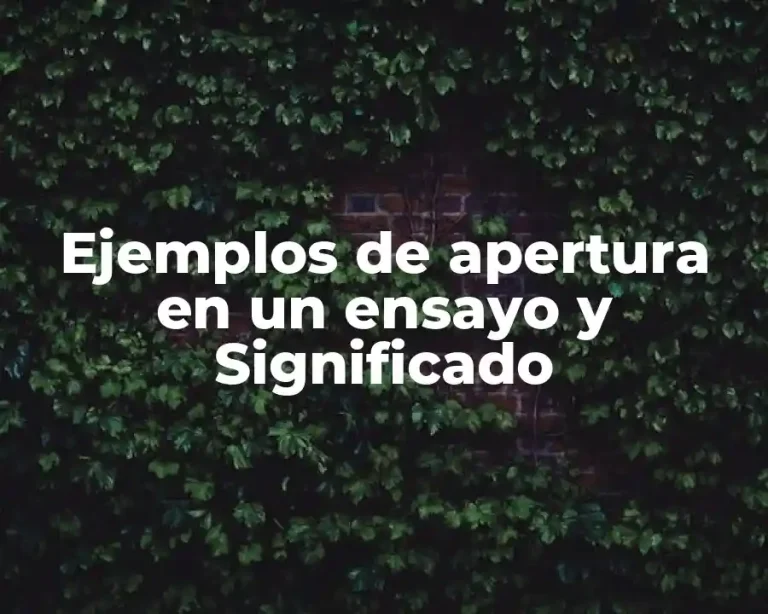 Ejemplos de apertura en un ensayo y Significado