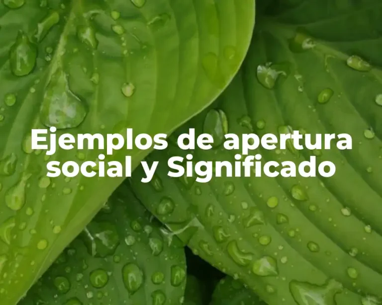 Ejemplos de apertura social y Significado