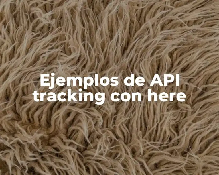 Ejemplos de API tracking con here