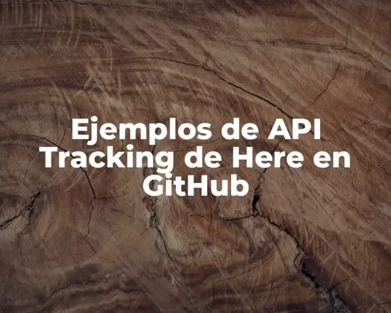 Ejemplos de API Tracking de Here en GitHub