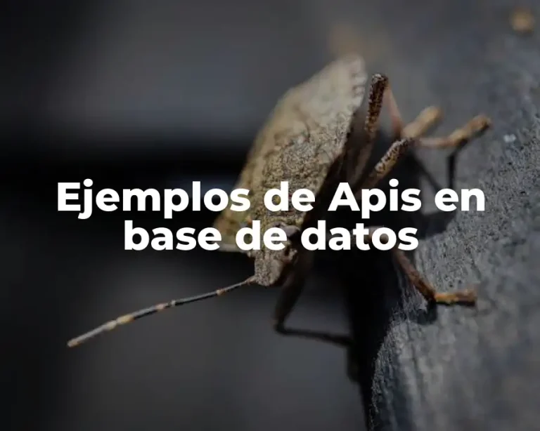 Ejemplos de Apis en base de datos