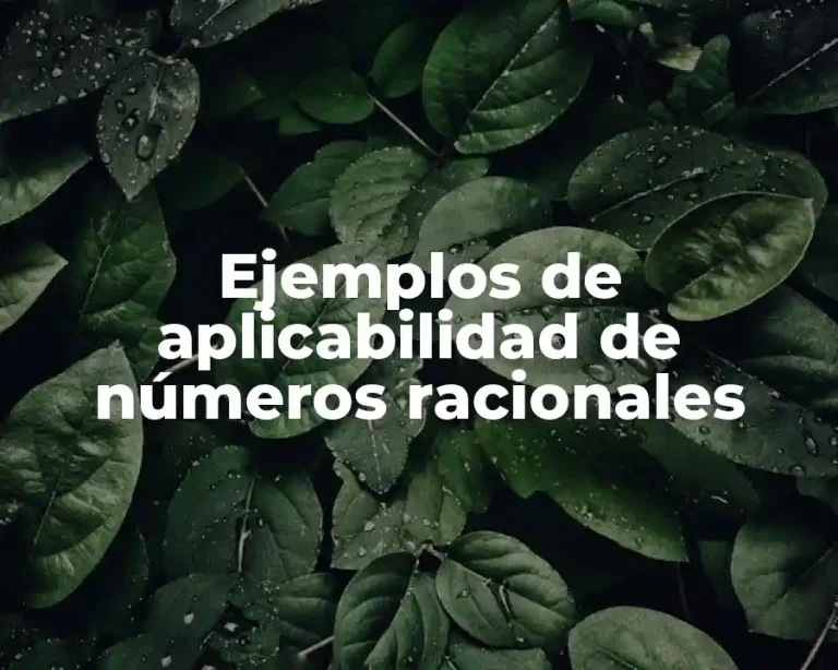Ejemplos de aplicabilidad de números racionales