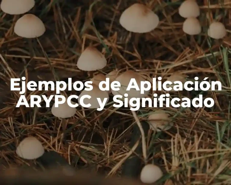 Ejemplos de Aplicación ARYPCC y Significado