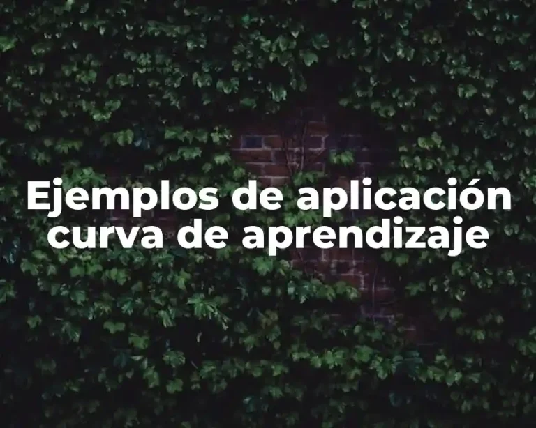 Ejemplos de aplicación curva de aprendizaje
