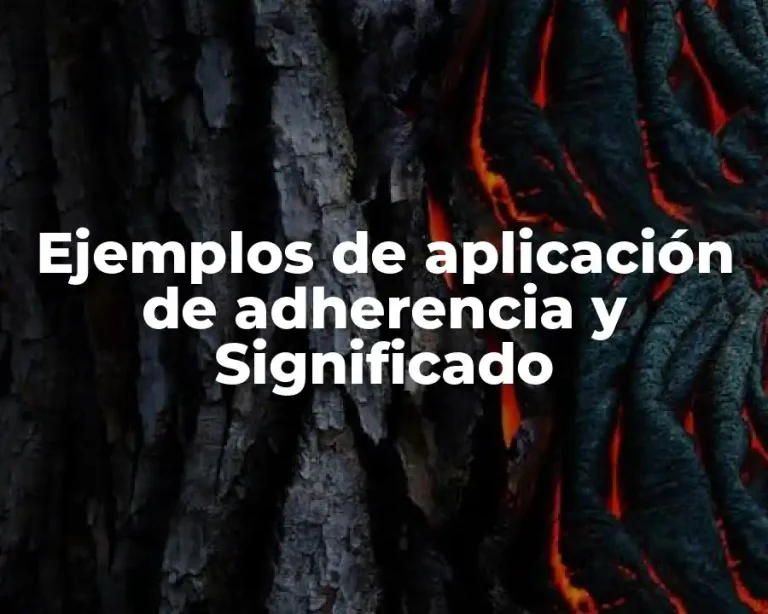 Ejemplos de aplicación de adherencia y Significado