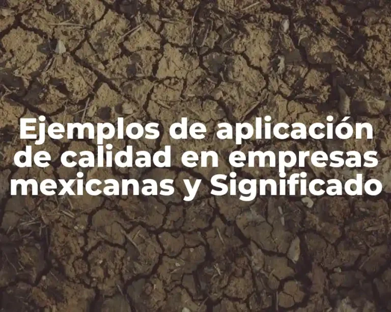 Ejemplos de aplicación de calidad en empresas mexicanas y Significado