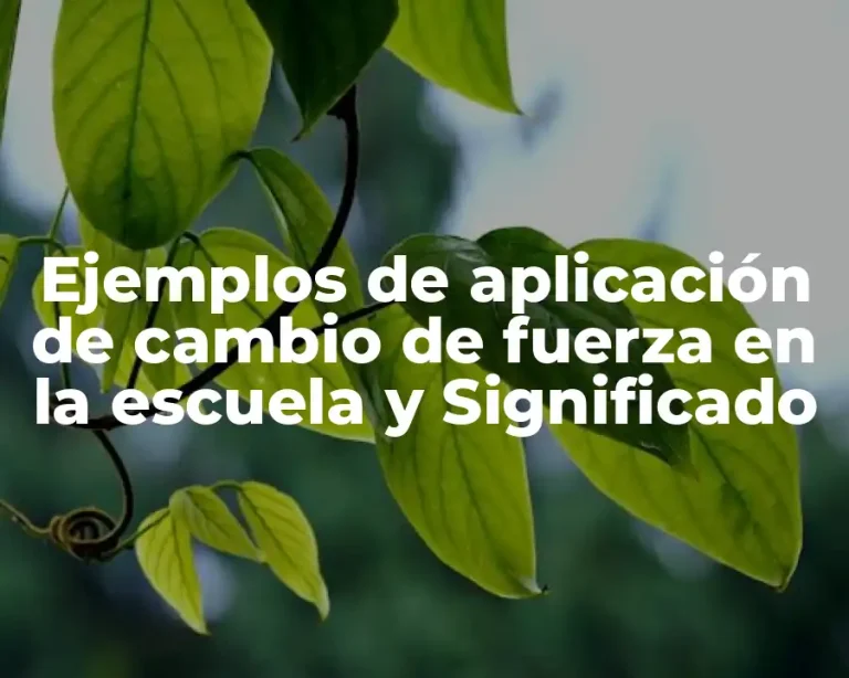 Ejemplos de aplicación de cambio de fuerza en la escuela y Significado