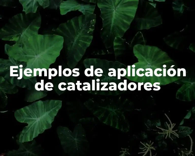 Ejemplos de aplicación de catalizadores