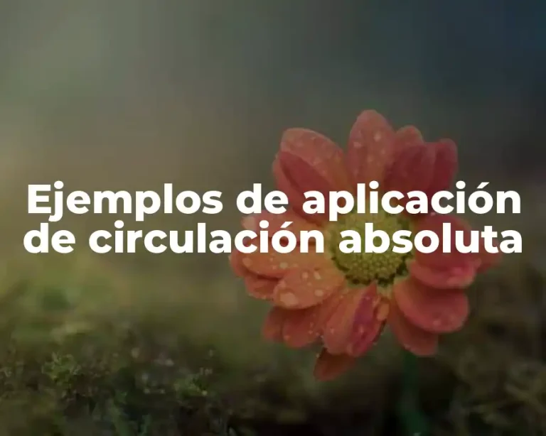 Ejemplos de aplicación de circulación absoluta