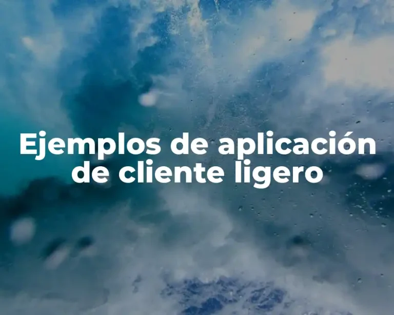 Ejemplos de aplicación de cliente ligero