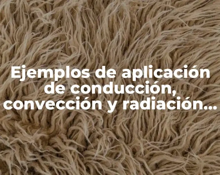 Ejemplos de aplicación de conducción, convección y radiación en
