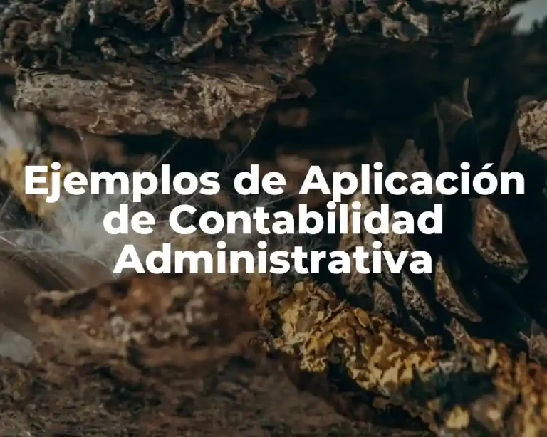 Ejemplos de Aplicación de Contabilidad Administrativa