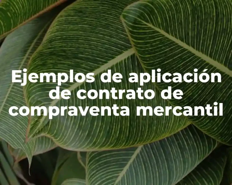 Ejemplos de aplicación de contrato de compraventa mercantil