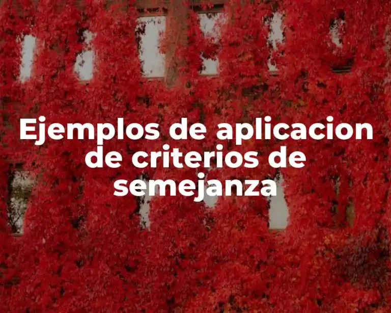 Ejemplos de aplicacion de criterios de semejanza