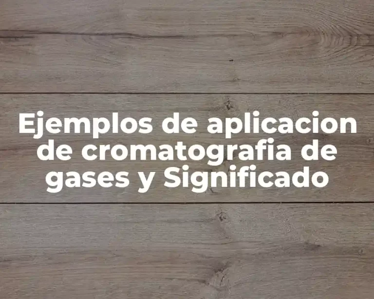 Ejemplos de aplicacion de cromatografia de gases y Significado