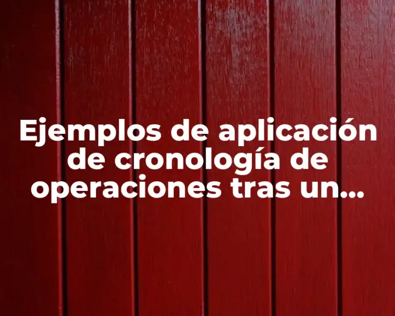 Ejemplos de aplicación de cronología de operaciones tras un desastre