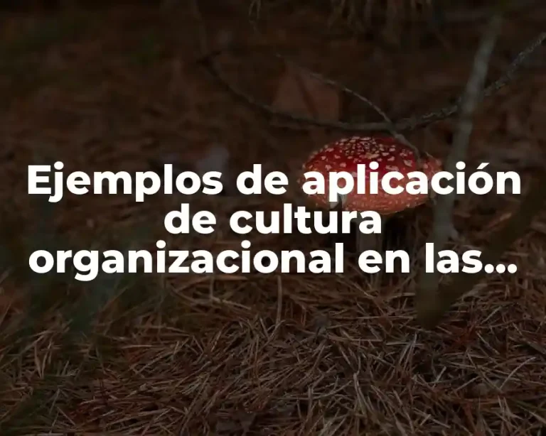Ejemplos de aplicación de cultura organizacional en las empresas