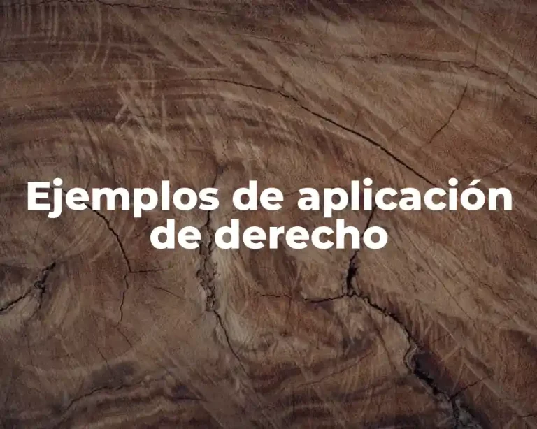 Ejemplos de aplicación de derecho