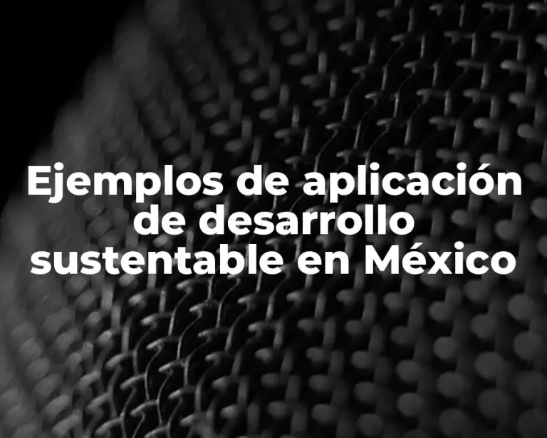 Ejemplos de aplicación de desarrollo sustentable en México