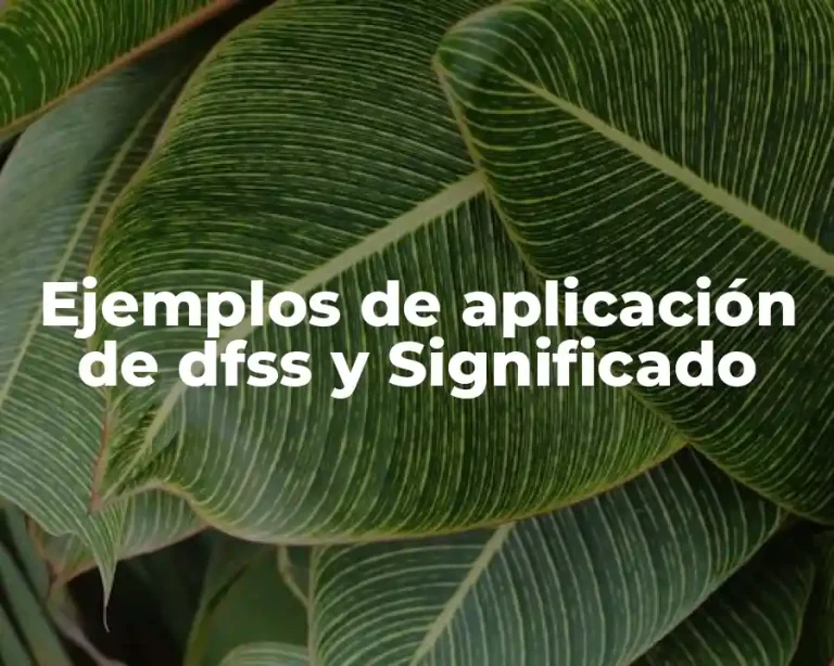 Ejemplos de aplicación de dfss y Significado