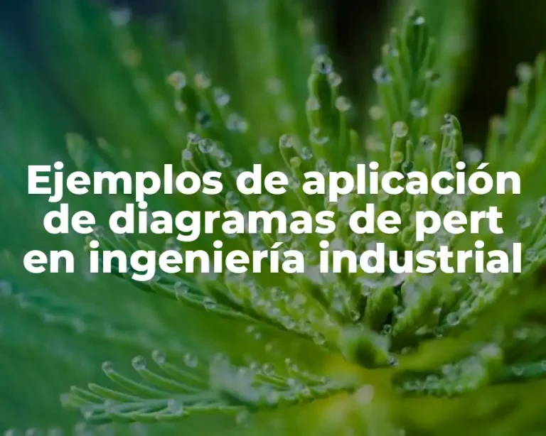 Ejemplos de aplicación de diagramas de pert en ingeniería industrial