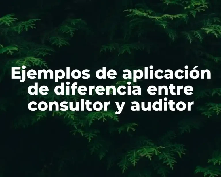 Ejemplos de aplicación de diferencia entre consultor y auditor