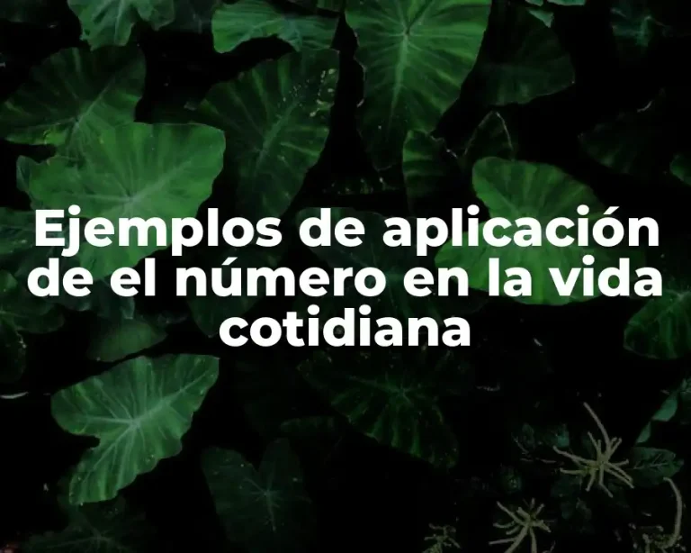 Ejemplos de aplicación de el número en la vida cotidiana