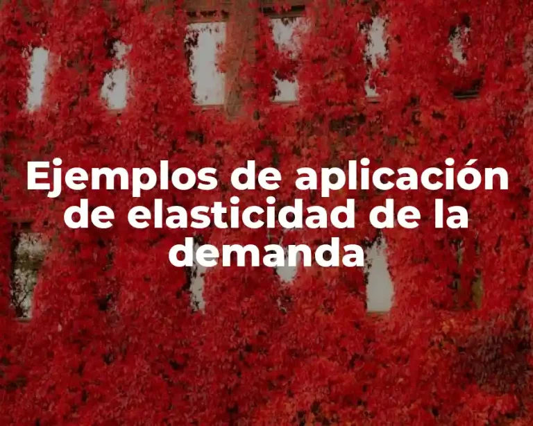 Ejemplos de aplicación de elasticidad de la demanda