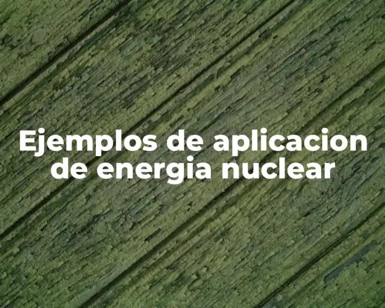 Ejemplos de aplicacion de energia nuclear
