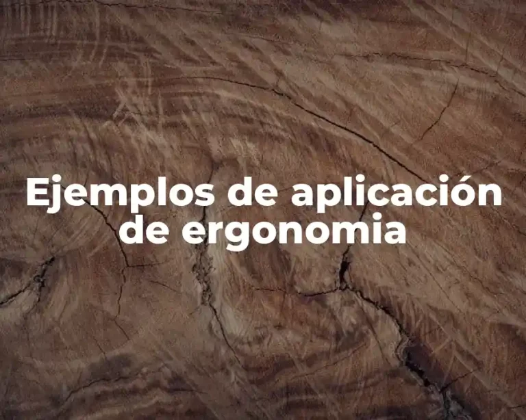 Ejemplos de aplicación de ergonomia