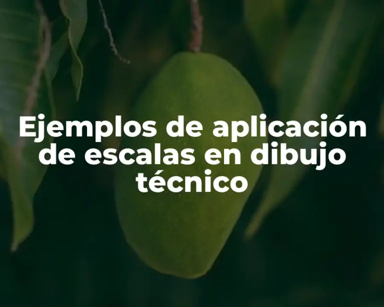 Ejemplos de aplicación de escalas en dibujo técnico