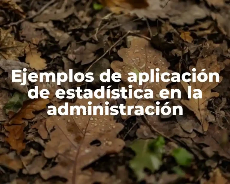 Ejemplos de aplicación de estadística en la administración
