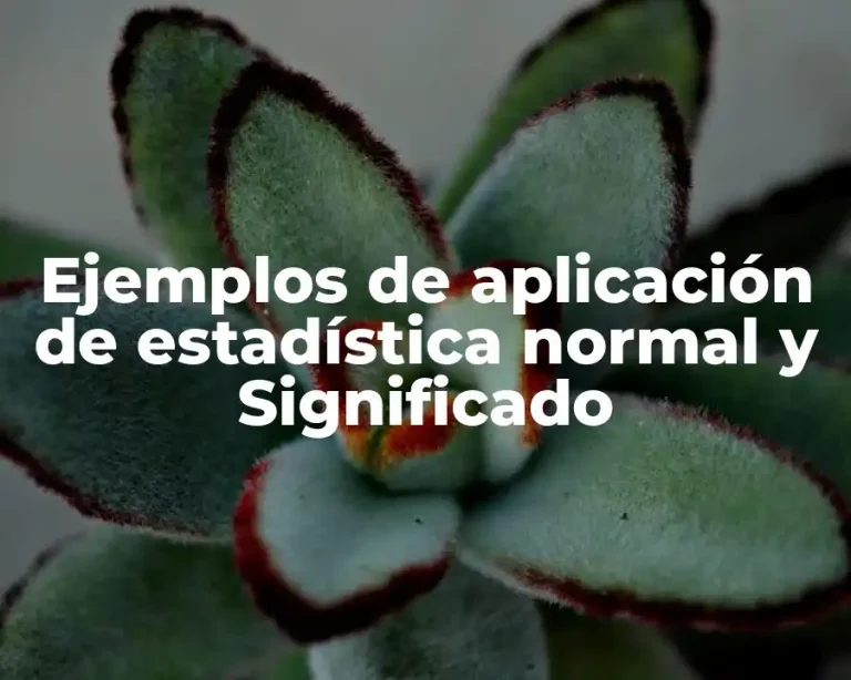 Ejemplos de aplicación de estadística normal y Significado