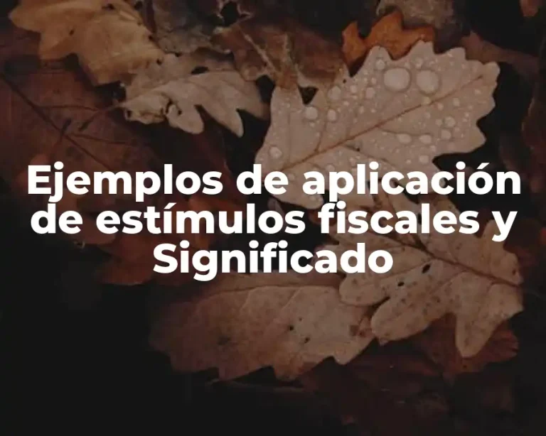 Ejemplos de aplicación de estímulos fiscales y Significado