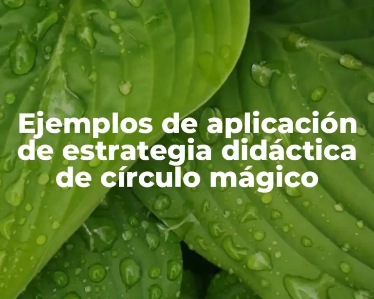 Ejemplos de aplicación de estrategia didáctica de círculo mágico