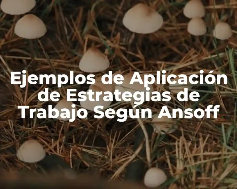 Ejemplos de Aplicación de Estrategias de Trabajo Según Ansoff