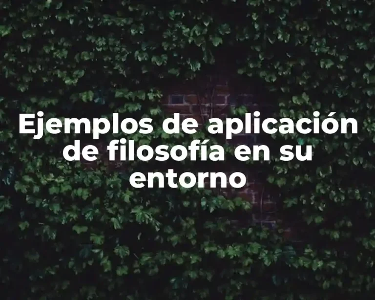 Ejemplos de aplicación de filosofía en su entorno