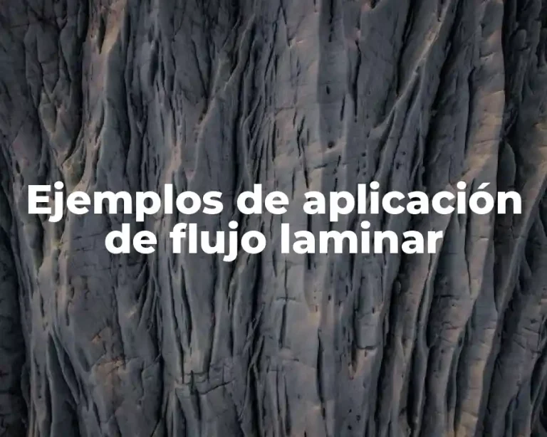 Ejemplos de aplicación de flujo laminar